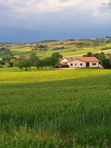 a field of green grass with a house in the background at Agriturismo Il Mio Casale in Monte Colombo