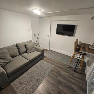 a living room with a couch and a flat screen tv at Snug on Eden Derry in Londonderry County Borough