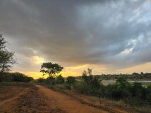 a dirt road next to a river with a cloudy sky at Kruger Tree Lodge in Marloth Park