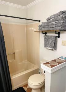 a bathroom with a toilet and a bath tub at Family-Friendly Strasburg Escape | 50 Mile Views in Strasburg +32 photos
