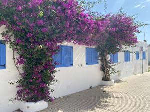 a white building with purple flowers and blue windows at Duplex Barbados Aguamarga in Agua Amarga
