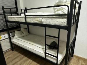 Ein schwarzes Etagenbett mit einer schwarzen Katze, die auf dem unteren Bett sitzt. in der Unterkunft Dottore Privatel in Hamburg