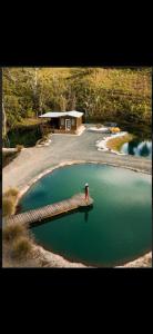a dog sitting on a dock in a pond at Natural Island in Adjuntas