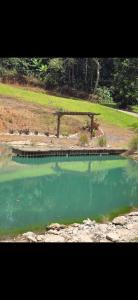 a bench sitting next to a pond of green water at Natural Island in Adjuntas