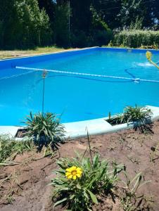 a blue swimming pool with flowers in the foreground at Casa Valle Verde in Sierra de los Padres