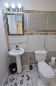 a bathroom with a toilet and a sink and a mirror at Green Serene Apartments in Corinthe