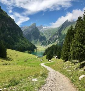 a dirt road leading down a valley with a river at Ganzes Haus am Bodensee in den Bergen im Appenzell in Heiden