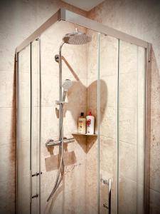 a shower with a shower head in a bathroom at Apparemment Cosy - Centre Auch in Auch
