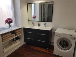 a bathroom with a sink and a washing machine at Duplex T4 Sempre Endavant in Vernet-les-Bains +7 photos