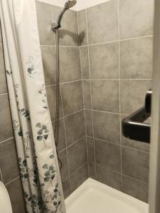 eine Dusche mit Duschvorhang im Badezimmer in der Unterkunft Green gallery in Haifa