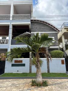 a palm tree in front of a building at Villa Vista in Mysore