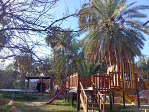 a playground with a palm tree and a slide at La tente in Tamaghzah