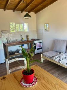 a living room with a potted plant on a table at Casa Lobos en Chapadmalal in La Estafeta
