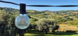 a close up of a glass object with trees and hills at Poderino - a place to feel in Cento +95 photos