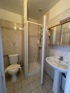 a bathroom with a toilet and a shower and a sink at Auberge Les Mufliers - Hôtel Les Forges in Pontenx-les-Forges +24 photos
