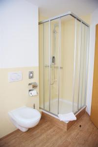 a bathroom with a glass shower and a toilet at Berne's Altstadthotel in Besigheim