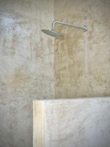 a shower with a shower head in a bathroom at Casa Lavanda in San Miguel de Allende +21 photos