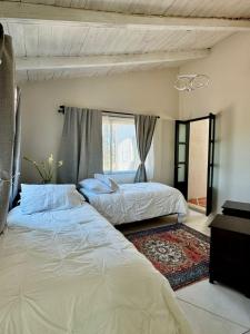 a bedroom with two beds and a window at Casa Lavanda in San Miguel de Allende