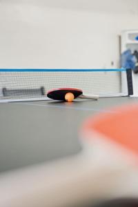 a ping pong ball sitting on top of a net at Spacious King Suite, Game Room, Patio, Firepit in Lexington