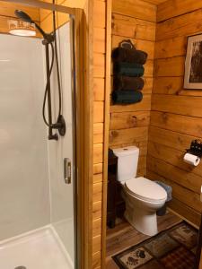 a bathroom with a toilet and a shower and a tub at Sockeye Cabin - Best Views & Fishing in Seward