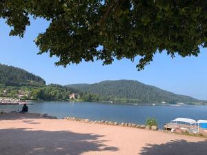a person sitting on the shore of a lake at Les Cimes - Le Tholy in Le Tholy
