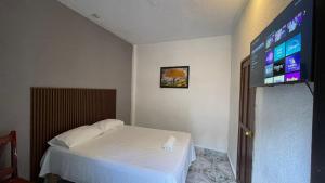 a bedroom with a bed and a flat screen tv at Hotel Colonial in Escárcega +36 photos