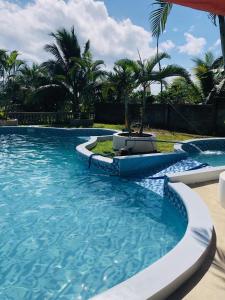 a swimming pool with blue water and palm trees at Jupiters Garden Cottages in Lawa-an
