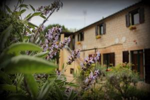Galeriebild der Unterkunft Campo Del Mare in Sirolo