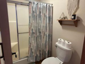 a bathroom with a shower curtain and a toilet at Legacy Lakehouse in Spicer +9 photos
