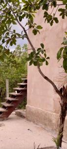 a set of stairs next to a building with a tree at Flat Recanto Brados in Sao Jorge