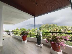 a balcony with potted plants and a view of trees at IMSONG'S humble abode in Dimapur
