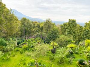 a garden with a mountain in the background at Geriya Sena in Munduk