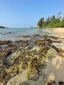a beach with some rocks and the ocean at Serene Garden Lodge in Ahangama