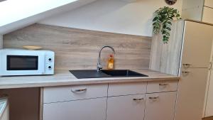 a kitchen with a sink and a microwave at Sunset Apartment in Grafenwöhr