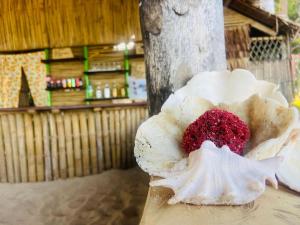 eine weiße Blüte mit einer roten Substanz darin in der Unterkunft MORE Beach in El Nido