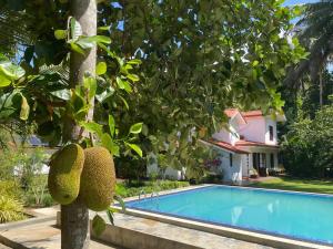 a tree with a swimming pool in front of a house at Kudaarala Heritage in Kengalla +13 photos