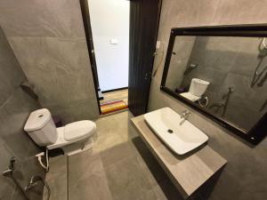 a bathroom with a sink and a toilet and a mirror at Aroma Holiday Home-Haputhale in Haputale +116 photos