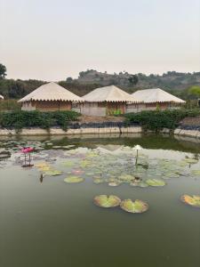 a pond with lily pads in the water with tents at Aura Resort and Restaurant in Chikalthān +5 photos