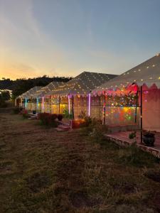a row of tents with lights in a field at Aura Resort and Restaurant in Chikalthān