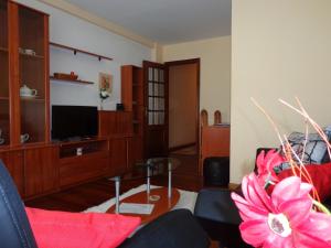 a living room with a couch and a tv at Apartamento Milladoiro in Milladoiro