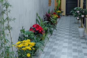 a bunch of flowers on a walk way at ThuAn Homestay Hoa Lư in Ða Gia