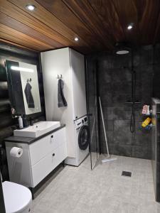 ein Badezimmer mit Waschbecken und Waschmaschine in der Unterkunft Vaaranpää in Kotaniemi