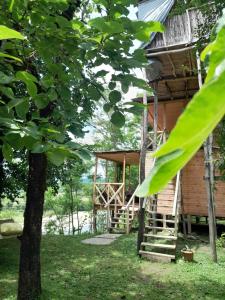 a tree house with a staircase leading up to it at Riverside Nature in Martvili +11 photos