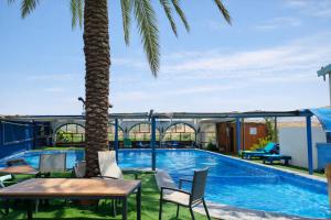 a pool with chairs and a table and a palm tree at family cabin in Menaẖemya