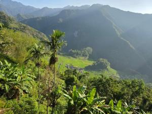 a view of a mountain valley with a palm tree at Batad Countryside in Banaue