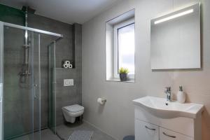 a bathroom with a sink and a shower and a toilet at Apartmány Sunny hill in Frymburk +23 photos