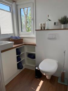 a bathroom with a toilet and a sink and a window at Tiny House Moritz in Fedderwardersiel