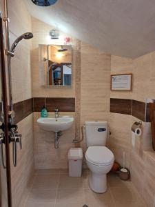 a bathroom with a toilet and a sink at River Garden in Beli Osŭm +29 photos