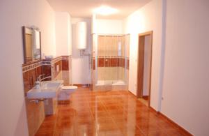 a bathroom with a toilet and a sink and a shower at Belcanto Apartments in Český Krumlov