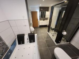 a bathroom with a shower and a toilet and a sink at Bachhaus Marktredwitz Haupthaus in Marktredwitz +17 photos